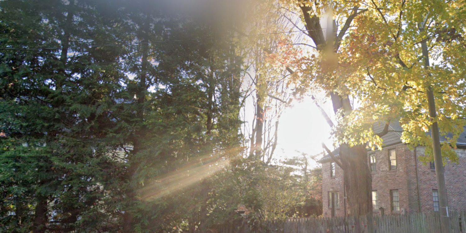 Sunlight filtering through trees with a building in the background. Offering luxury staging services in Newton, MA.